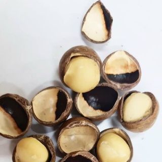 Hạt mắc ca Úc nứt vỏ size 23-25 mắc ca xá giá sỉ giá bán buôn