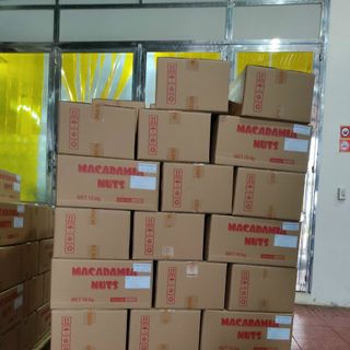 Hạt mắc ca Úc nứt vỏ size 23-25 mắc ca xá giá sỉ giá bán buôn