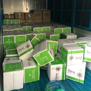 Chà là nguyên cành sấy SanwanTunisia 500g giá sỉ giá bán buôn