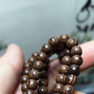 Tràng hạt mun đuôi công
