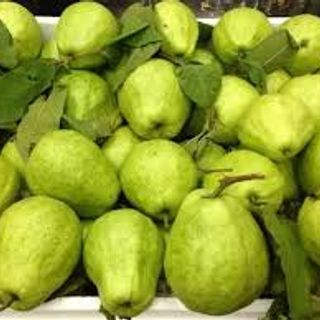 Ổi lê ( ổi Đài Loan )