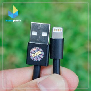 Cáp Apple Beats (20cm) USB To Lightning - Chính Hãng