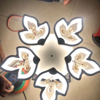 ĐÈN MÂM ỐP TRẦN MIKA