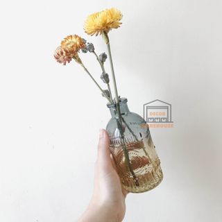 Lọ cắm bông hoa bình hoa thủy tinh màu trà Ombre