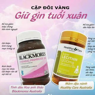 Hoa anh thảo