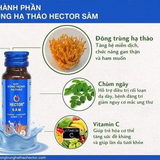 Sâm Nước Đông Trùng Hạ Thảo Hector