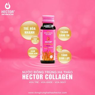 Colagen Đông Trùng Hạ Thảo Hector