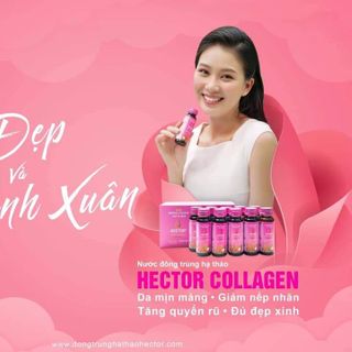 Colagen Đông Trùng Hạ Thảo Hector