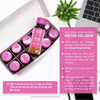 Colagen Đông Trùng Hạ Thảo Hector