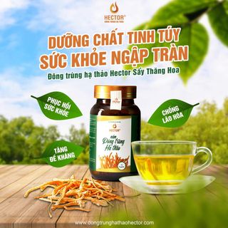 Nấm Đông Trùng Hạ Thảo Sấy Khô Hector