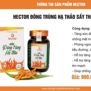 Nấm Đông Trùng Hạ Thảo Sấy Khô Hector