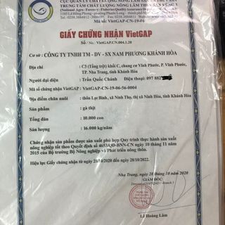 Gà Nòi Bản Địa - Quê Hương