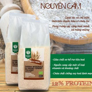 [Giá Sỉ thùng 6 gói] Bột Mì Nguyên cám hữu cơ Organic Wheat Flour ProBios 1kg giá sỉ