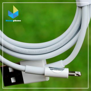 Cáp Apple Lightning IC Zin Chính Hãng (1m)