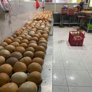 Bánh Flan Trái Dừa