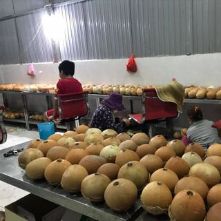 Bánh Flan Trái Dừa