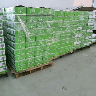 CHÀ LÀ SANWAN 500GR GIÁ TỐT NHẤT, DATE MỚI NHẤT