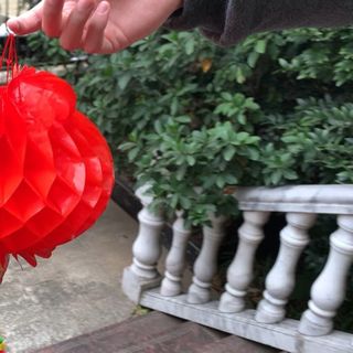 Đèn lồng trang trí tết 25cm Loại Thường