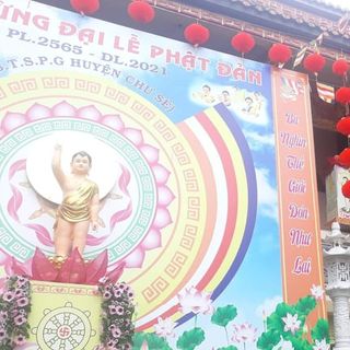 Đèn lồng trang trí tết 25cm Loại Thường