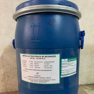 Ampicillin dùng trong Nuôi trồng Thủy sản