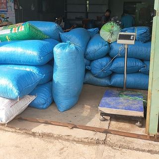Hạt Macca, Mắc ca Tây Nguyên