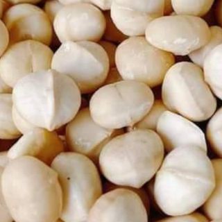 Hạt Macca, Mắc ca Tây Nguyên