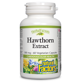 Thuốc Dược Thảo Điều Hòa Tuần Hoàn Máu, Tim Mạch Hawthorn Extract