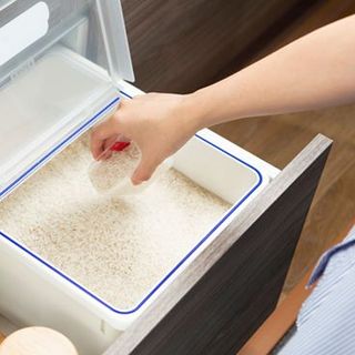 Thùng gạo Sendai 12kg Nắp nhựa kín và kháng khuẩn-Thương Hiệu Inochi sản xuất theo phong cách và tiêu chuẩn Nhật Bản