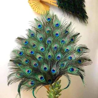 Bình khổng tước số 1