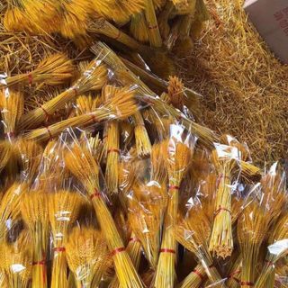 Bông lúa mạch vàng thần tài sấy khô