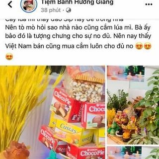 Bông lúa mạch vàng thần tài sấy khô