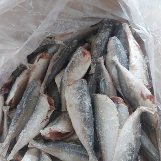 CÁ NỤC CẮT ĐẦU LÀM SẠCH: