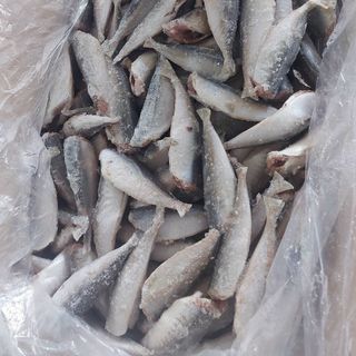 CÁ NỤC CẮT ĐẦU LÀM SẠCH: