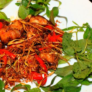 GÂN CÁ NGỪ ĐẠI DƯƠNG