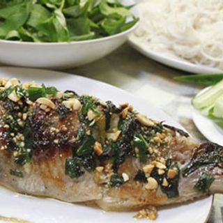 GÂN CÁ NGỪ ĐẠI DƯƠNG