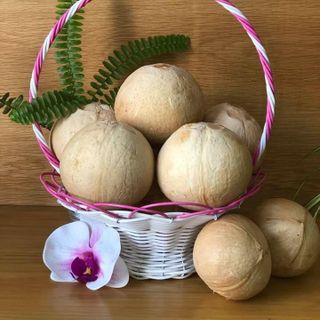 DỪA XIÊM XANH TRỌC