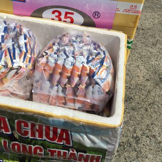 Kem tràng tiền 35 hà nội