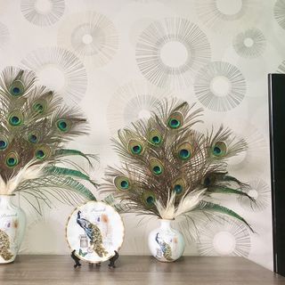 10 Lông Công Phong Thuỷ
