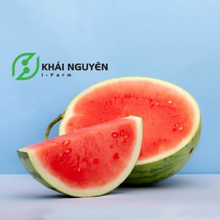 Dưa hấu hướng hữu cơ