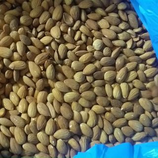 Nhân hạnh nhân Úc sống
