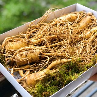 [Chất lượng] Sâm tươi Hàn Quốc - Loại 30-35 củ/1kg