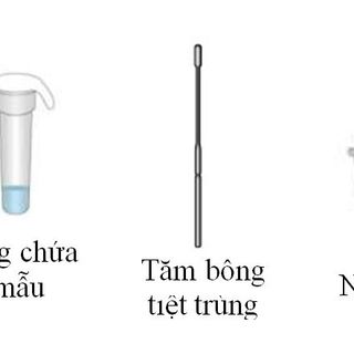 Bộ test nhanh covid 19 BIOCREDIT Hàn Quốc (20 bộ/hộp)