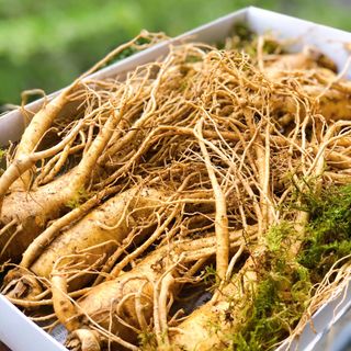 [Chất lượng] Sâm tươi Hàn Quốc - Loại 7 củ/1kg