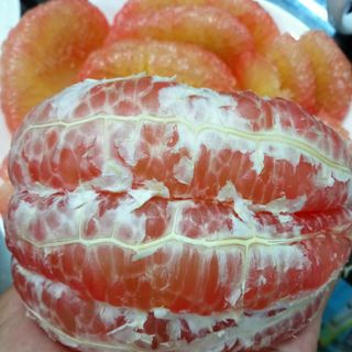 Bưởi Da Xanh Vietgap_Bến Tre Chính Hiệu