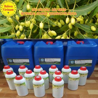 TINH DẦU CỎ THI 1000ML