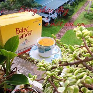 SAFFRON Nhụy Hoa Nghệ Tây Baby Saffron [Date 10/2022]