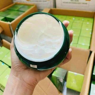 Body diệp lục