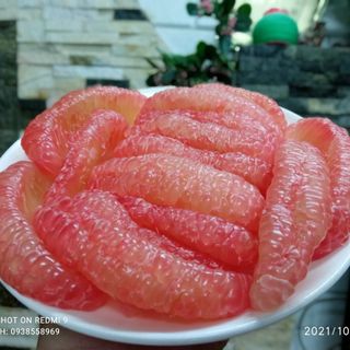 Bưởi Da Xanh Vietgap_Bến Tre Chính Hiệu