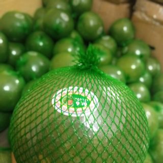 Bưởi Da Xanh Vietgap_Bến Tre Chính Hiệu