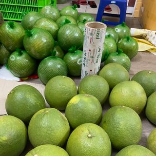 Bưởi Da Xanh Vietgap_Bến Tre Chính Hiệu